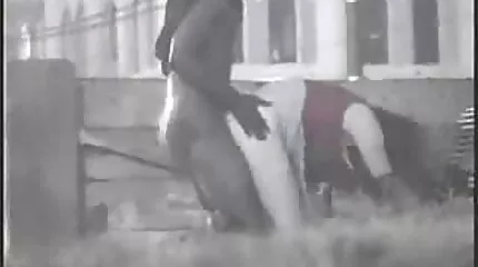 الديوث يلعق أقدام الزوجة بينما شقراء تمارس الجنس من الافلام سكس اجنبي قبل الحبيب