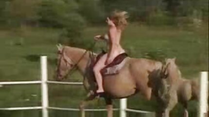 سكس عربي سكس عربي سكس عربي سكس عربي سكس عربي
